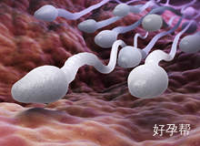 秦皇岛试管医院(秦皇岛哪家医院做试管好)