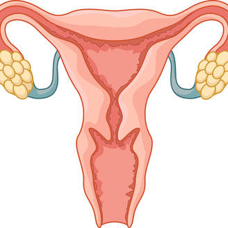 丽水做试管婴儿成功率和费用要多少