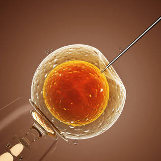 十堰人民医院试管婴儿费用大约多少