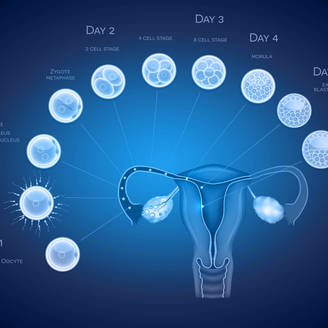 厦门市妇幼保健院做试管婴儿怎么样