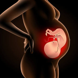 郴州试管婴儿费用大约多少，试管医院