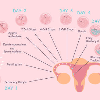 淮南有做试管婴儿的吗?大概要多少钱