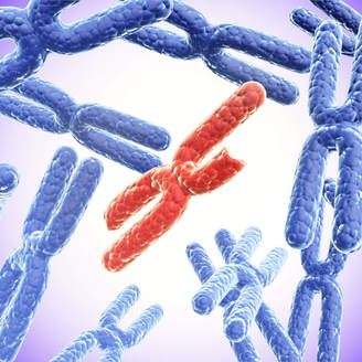 合肥安医做试管怎么样，试管费用，哪个医生好