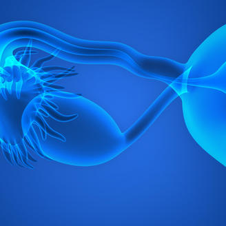 阜阳医院有做试管吗，多少钱