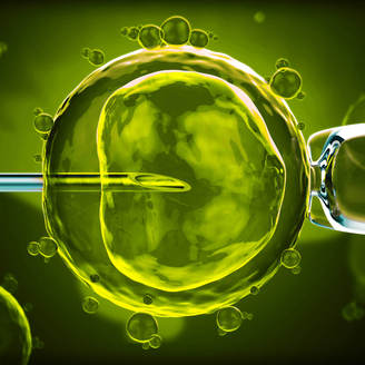 威海试管婴儿哪家医院做的比较好