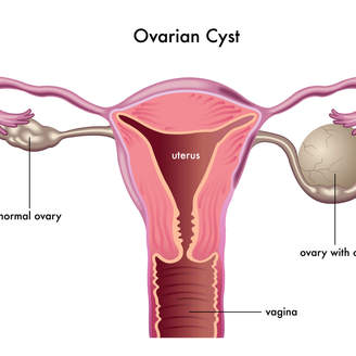 襄阳试管婴儿技术咋样
