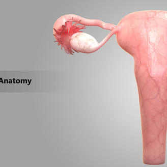 保定市妇幼保健院试管婴儿成功率高吗