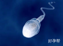 汉中试管婴儿一次成功?哪个医院的技术最好?