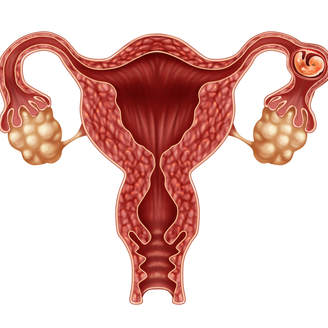 武汉大学中南医院试管婴儿、成功率高吗