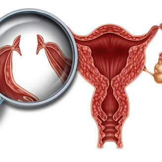兰州大学第二医院试管婴儿成功率多少、试管专家