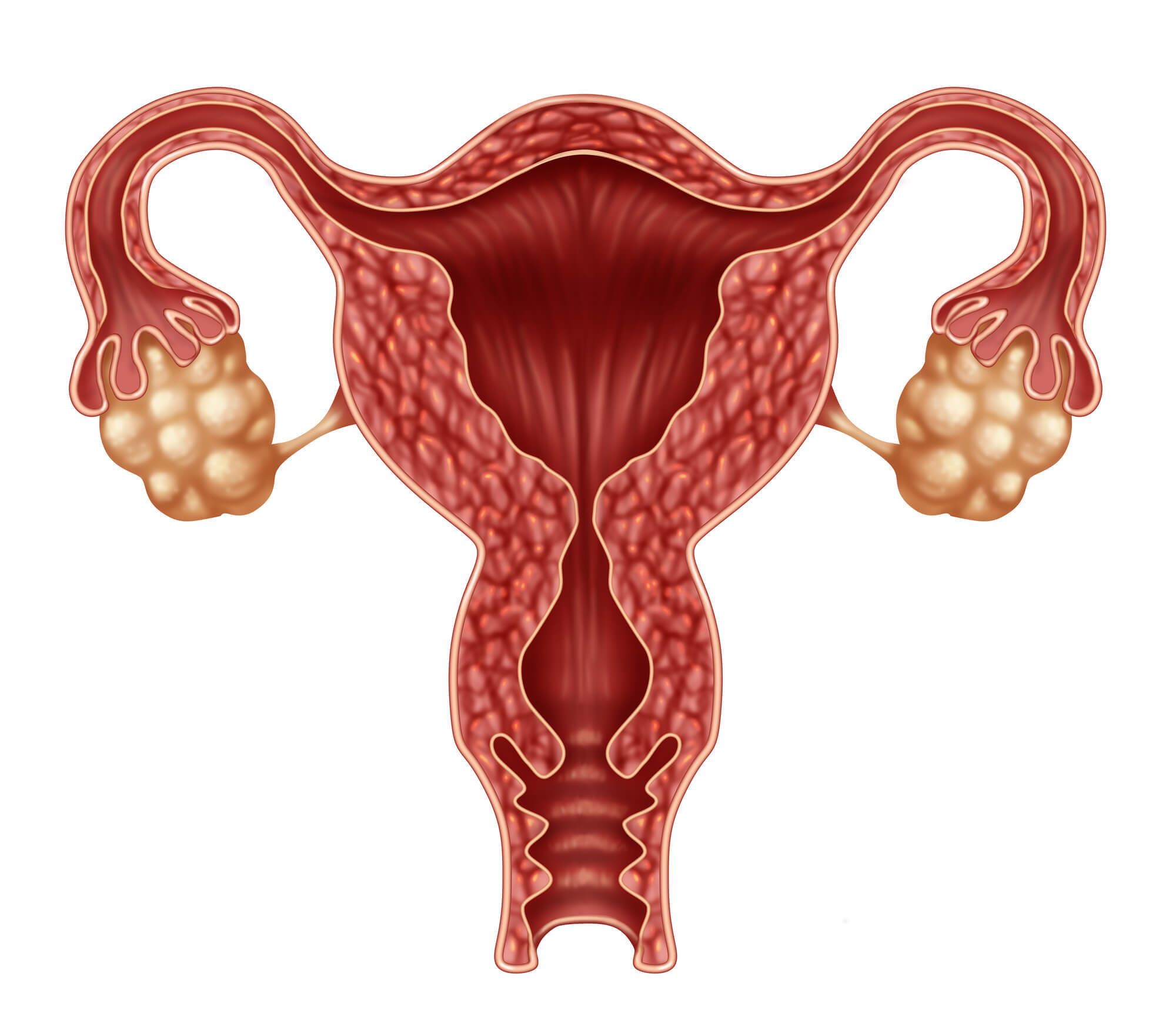 子宫肌瘤会影响妊娠吗？