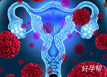 榆林哪个医院可以做试管？试管会影响宝宝的健康？