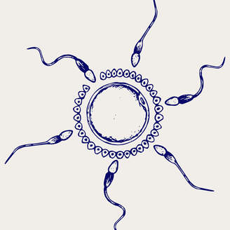 45岁试管移植能成功吗、试管成功率大吗
