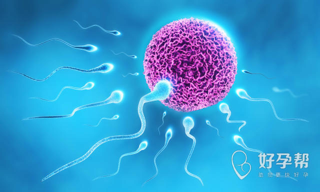 阜阳哪个医院可以做试管婴儿？试管婴儿一共需要多少精子和卵子？