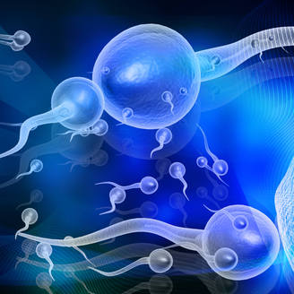 西藏阜康医院试管婴儿成功率怎样、试管费用