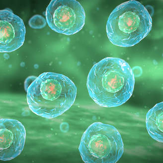 夫妻可以做试管婴儿吗、试管婴儿步骤