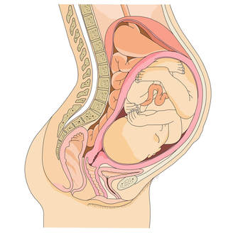 42岁了做试管的成功率是多少、试管活产率