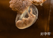 保胎哪个医院比较好？保胎会不会产生副作用和危害？