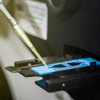 男性睾丸的作用？睾丸被踢的处理方法？