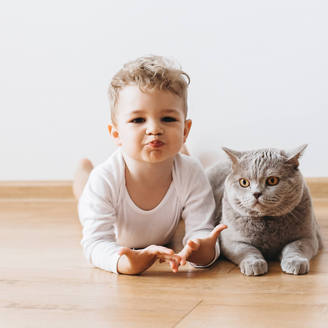 山西省人民医院试管成功率、试管水平怎么样