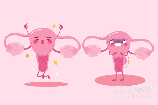 最新六盘水1家试管婴儿医院排名、哪家成功率最高