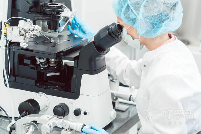 最新湘潭2家试管婴儿医院排名、哪家成功率最高