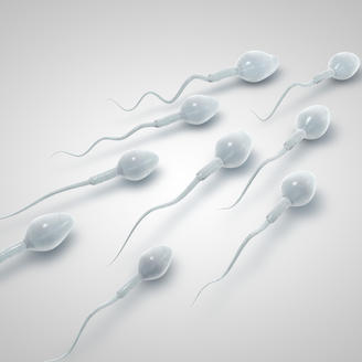 试管婴儿是用谁的精子、精子质量要求