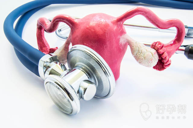 最新连云港1家试管婴儿医院排名、哪家成功率最高