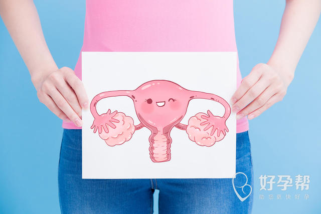 最新宝鸡1家试管婴儿医院排名、哪家成功率最高