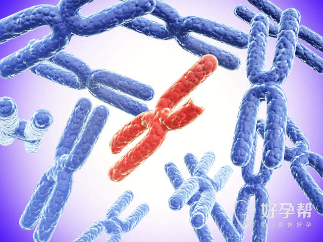 最新桂林4家试管婴儿医院排名、哪家成功率最高