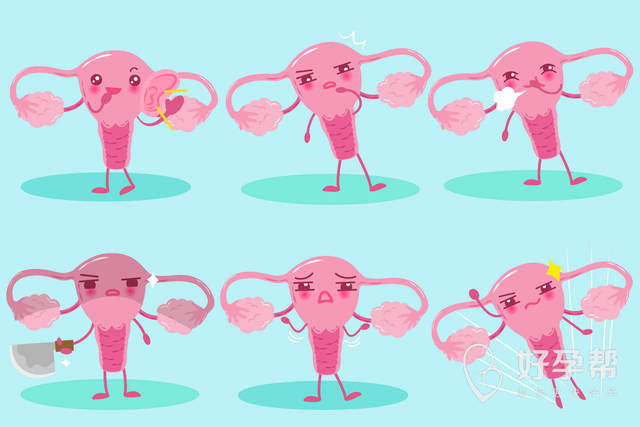 最新黄冈1家试管婴儿医院排名、哪家成功率最高