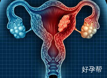 最新嘉兴1家试管婴儿医院排名、哪家成功率最高