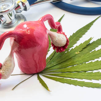 试管婴儿促排期间饮食、怎样有效提高卵子质量