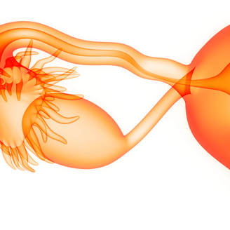 子宫肌瘤什么症状？子宫肌瘤如何变小？