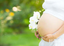 北京哪家医院可以做gl试管?(北京gl试管婴儿医院)
