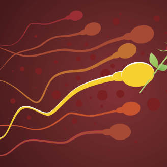检查精子DNA碎片率多少钱？需要多久？