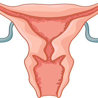 今日热点：女性试管取卵前饮食注意事项及禁忌食物