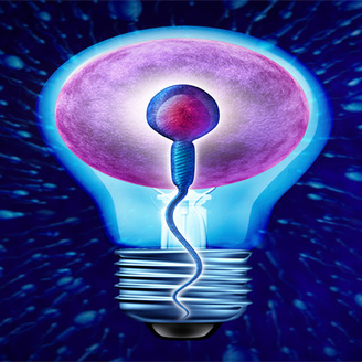 男人死精是什么原因造成的?男人死精做试管成功率高吗?