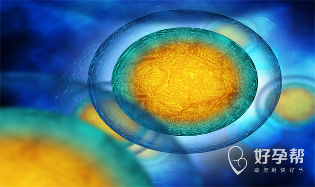 女性试管前何时检查输卵管最佳?检查输卵管会痛吗?