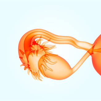 子宫内膜1.5cm严重吗?还能做试管移植吗?