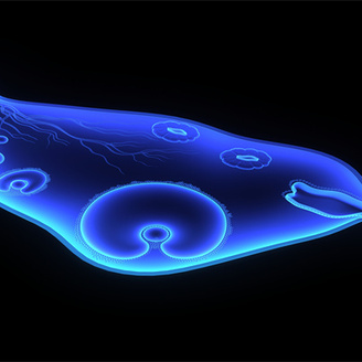 备孕科普：输卵管造影术的费用与疼痛解析