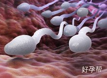备孕指南：男性精子检查项目都包括哪些？检查精子挂什么科？