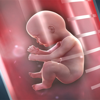 泰国试管婴儿指定性别费用多少钱?哪家医院成功率高