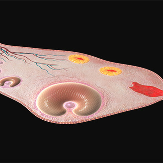 上海交通大学医学院附属第九人民医院试管造影检查：意义与费用解析