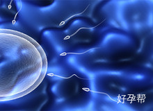 人工授精与试管婴儿：全面解析与优劣对比