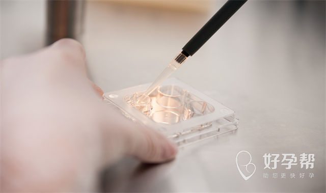 2024全国第三代试管婴儿生殖医院成功率排名一览表