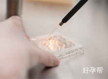 2024全国第三代试管婴儿生殖医院成功率排名一览表