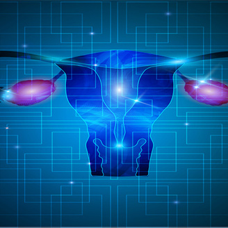 宫腔镜检查：女性健康的守护者及其费用概览