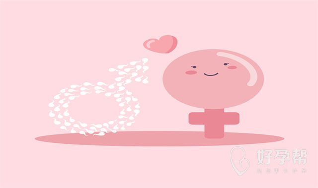 人工授精：夫妻需做的检查与费用概览