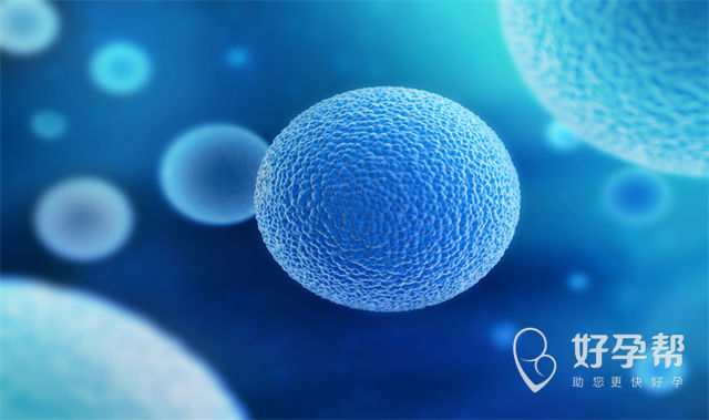 试管排卵的反应、症状表现及注意事项